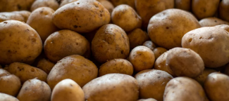 Russet Potatoes